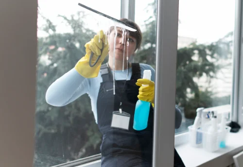 Nettoyage de vitres intérieures et extérieures à Montoison